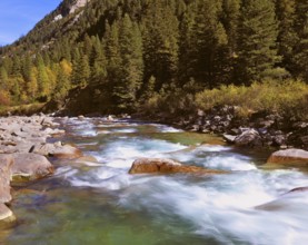 Pastoral in the Alpine mountain valley in Austria. Rapid mountain stream. Cascades of cold water at