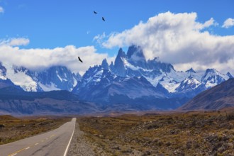 Over the road flying flock of Andean condors. The highway crosses the Patagonia and leads to