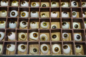 Painted plastic ocular prostheses, 20th century, Sa Bassa Blanca Museum (msbb) Yannick Vu and Ben