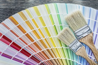 Colour pantone fan paintbrushes on wooden board