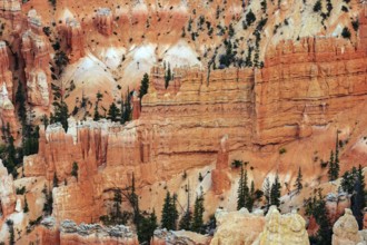 Giant hoodoo painting wall. Bryce Canyon, USA. Giant natural amphitheater created by erosion.