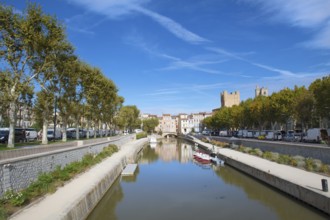 Market day in French Narbonne
