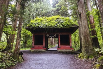 TOGAKUSHI, JAPAN - SEPTEMBER 19, 2024: Zuishinmon Gate and landscape around Togakushi Shrine on a