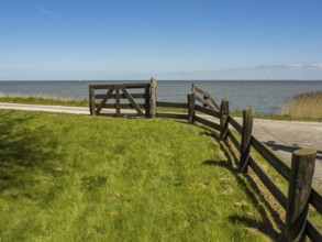 Part of a wooden fence on the shore of a lake, surrounded by grassland, enkhuizen, the netherlands