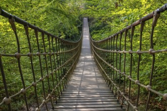 Wooden suspension bridge over a gorge, beautiful nature and trees in the Hunsrück, Germany