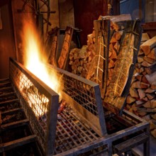 Flame salmon