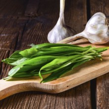 Fresh and tasty wild garlic