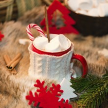 Hot chocolate with marshmallows