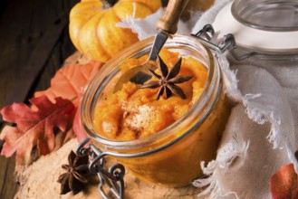 A delicious autumnal creamy pure Hokkaido pumpkin