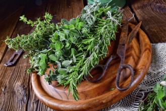 Herbal collection of: thyme, oregano, rosemary