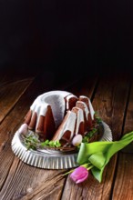 Delicious chocolate spring cake