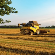 Big combine harvester threshing in the sunset