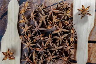 Close-up of Star anise seeds with two wooden spoons