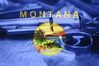 Montana flag (U.S. state) Gun Control USA. United States Gun Laws
