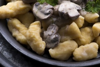 Gnocchi with a mushroom cream sauce