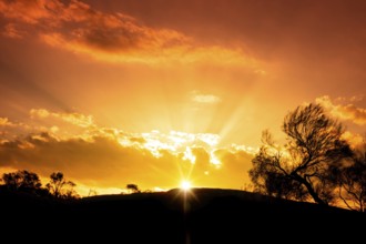 An image of a beautiful sunset in the Australia outback
