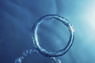 Bubble Ring Underwater, Ring Bubble