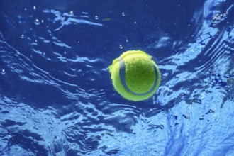 Tennis Summer Concept, Tennis Ball Underwater, Swimming Pool, Summer Tennis Camp
