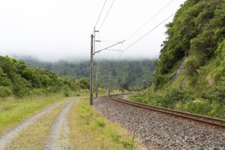 Train tracks at the old coach road, famous mountain biking route, North Island of New Zealand