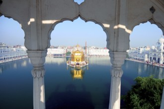 Golden temple, amritsar, punjab, india, asia