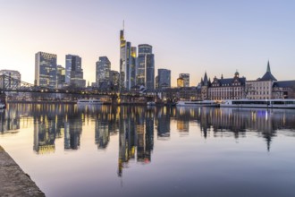 View over the river Main with a modern illuminated skyline in the background in the evening, at
