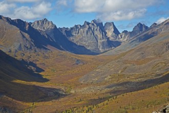 Tombstone territorial park, grizzly lake hike