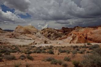 Fire of the State Park