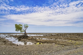 Beachsite near the former fisher-village Pemuteran at the North of Bali island. There was a Hindu