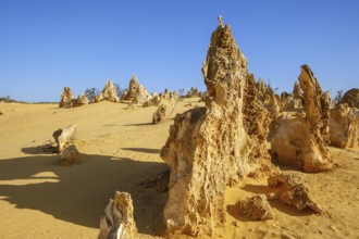 An image of the Pinnacles Desert at Nambung National Park Australia