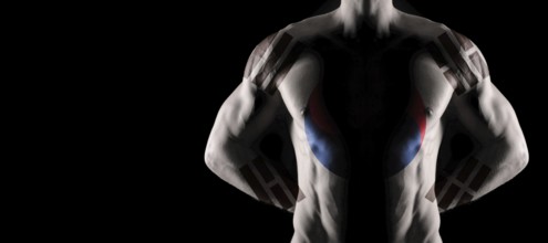 South Korea flag on muscled male torso with abs, black background
