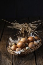 Fresh eggs straight from the farm in a basket