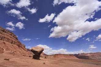 American rock desert. The famous giant mushroom of red sandstone, glowing clouds, midday shadows
