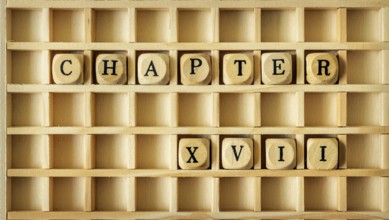 An image of a wooden game with the word chapter seventeen