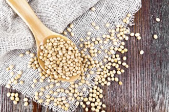 Soy beans in a spoon on sacking on a dark wooden board background from above