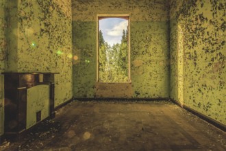 Abandoned room with shimmering green walls and a window overlooking trees, Prison H11, Lost Place,