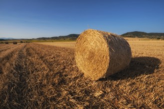 Hay bail harvesting in golden field landscape