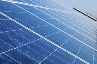 Solar photovoltaic panels. Solar park