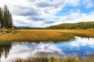 Autumn trip to the west of Canada. The cold shallow lake is surrounded by an evergreen forest. The