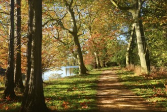 Hiking trail in autumn