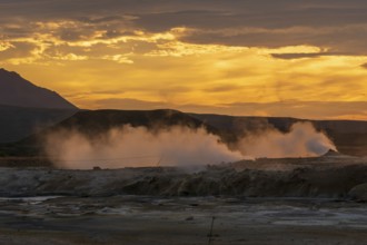 Backlit fumaroles at sunrise, Hverarönd / Hverir geothermal area, Norðurland eystra, Iceland