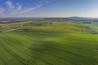 Aerial view of amazing green wavy hills with agricultural fields in spring. South Moravia region,