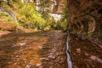 A water stream flowing through a narrow crack in the Subway gorge, Zion NP, USA