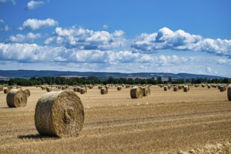 A view of a field with round straw bales under a blue sky