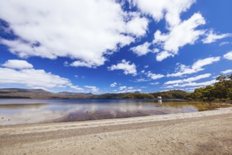 Pumphouse Point and Lake St Clair on a hot summer's day in Tasmania, Australia