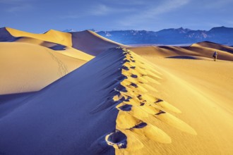 Tourist photographer with a photo bag is walking among the dunes. USA. Death Valley. Desert morning