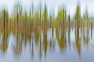 ICM view of lake shore in cloudy spring weather using intentional camera movement