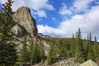 Surroundings of the mountain lake Moraine. Cloudy and cold autumn day. The magnificent Canadian