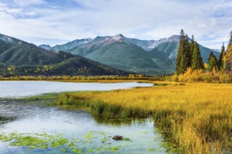 Lake Vermillon among the yellow fall grass. Grandiose landscape in the Rocky Mountains of Canada