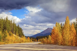 Canada, Rocky Mountains. Road in Banff National Park. Great orange and yellow autumn forest