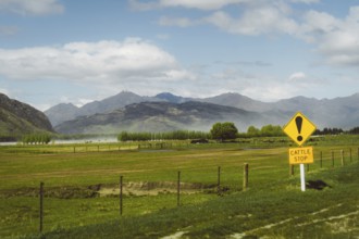 Landscape with Cattle Stop sign, green meadows and mountainous scenery under a blue sky, Cattle